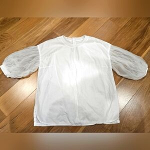 Small Size, Korean Brand Lime Studio